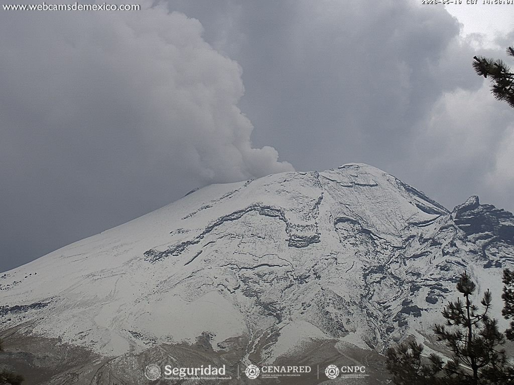 Webcams de México tweet media