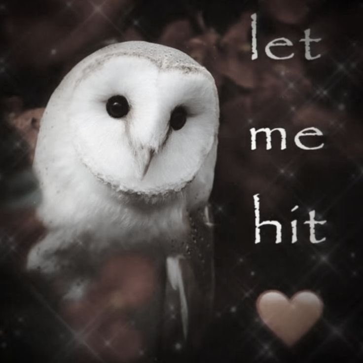 Lai • CANDACE GLAZER ⋆౨ৎ˚⟡˖ ࣪ tweet media
