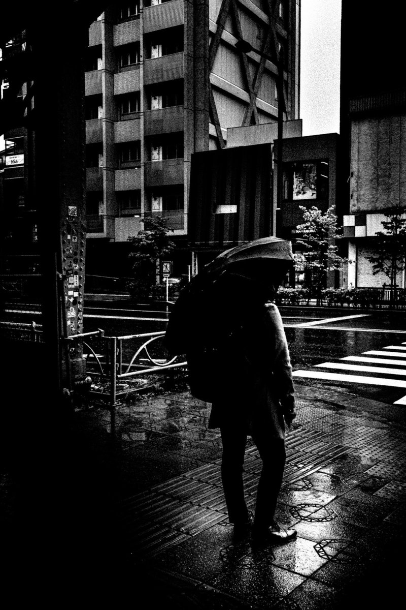Kiyonosuke Kawamura tweet media
