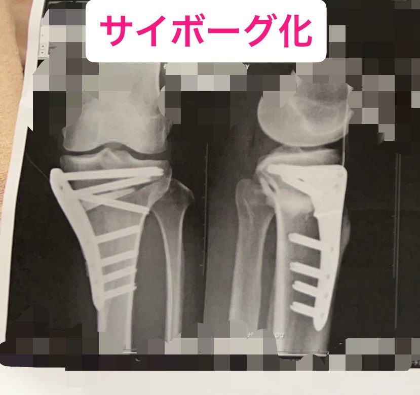 飛べない翔㌧ tweet media