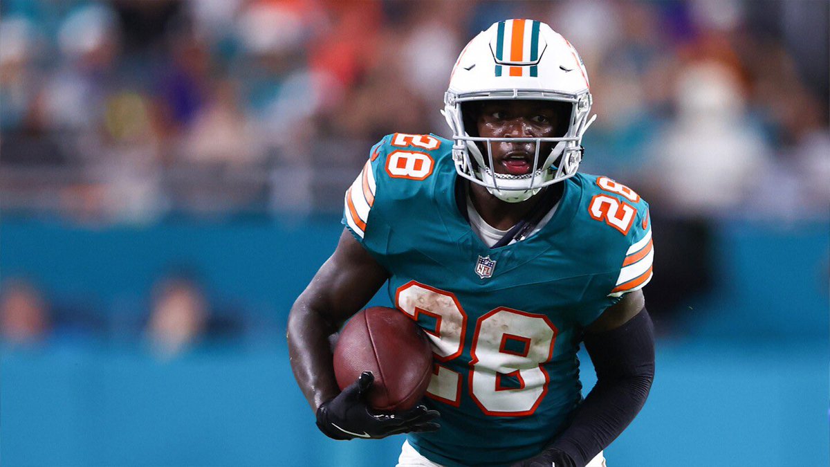 Dolphins Muse tweet media
