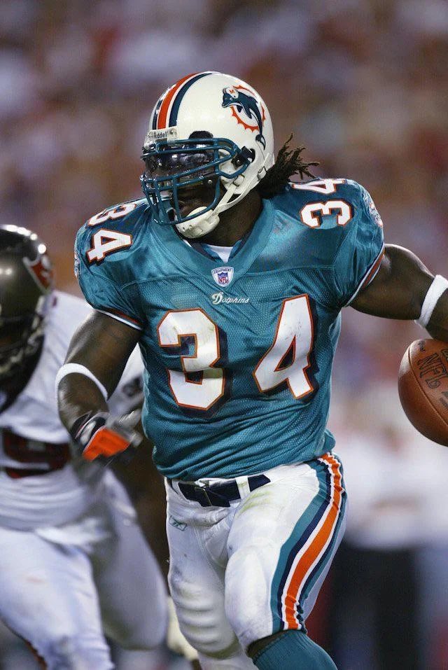 Dolphins Muse tweet media