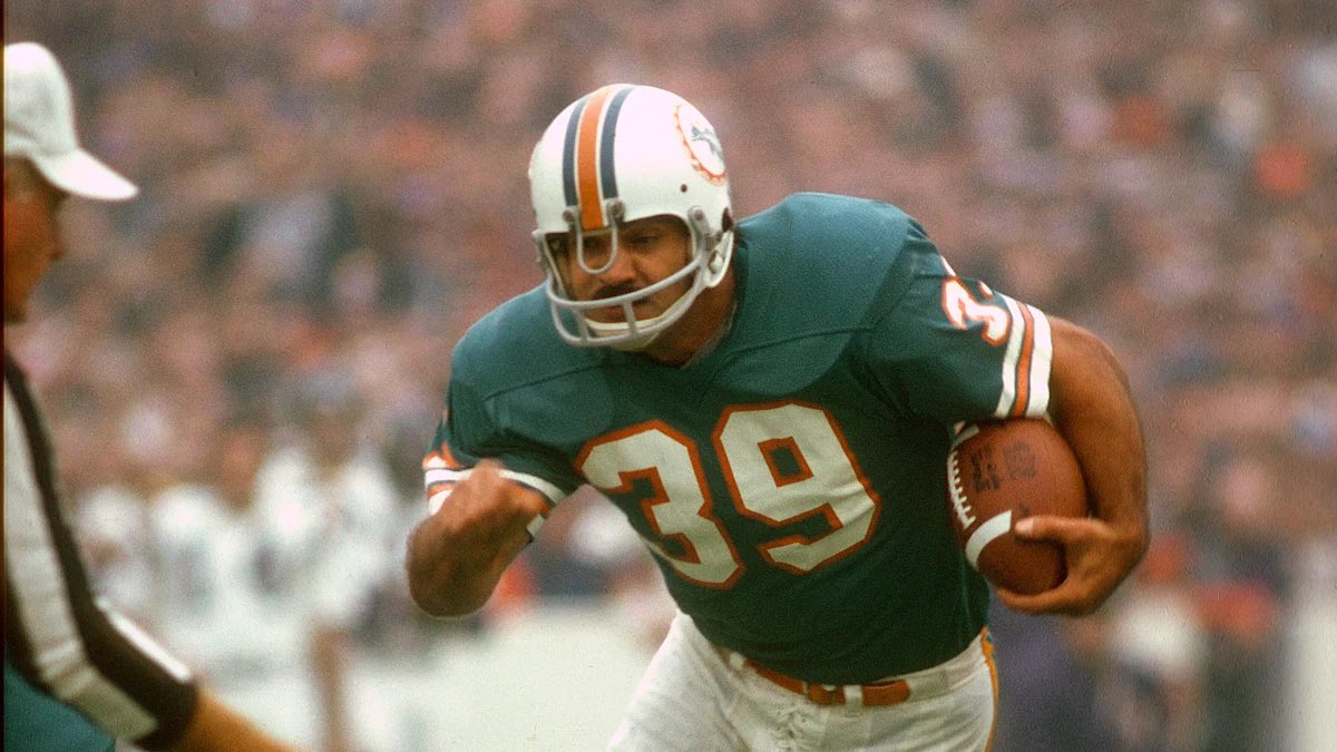 Dolphins Muse tweet media