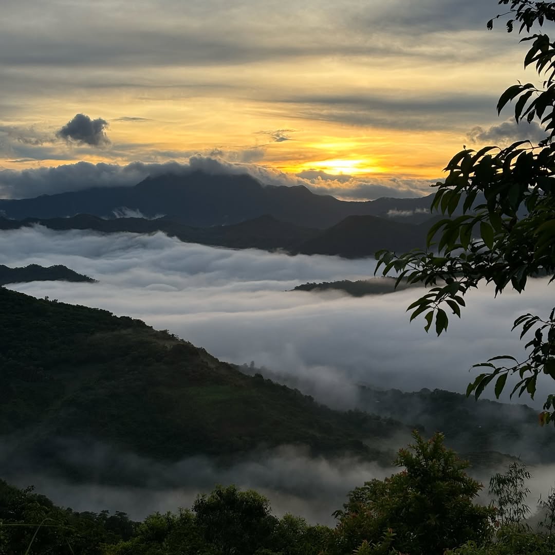 DaveDTC's tweet photo. Thank you to @LakbayPinas Chasing the Sea of Clouds in Tanay, Rizal: A Dreamy Escape Near Manila
https://t.co/41auHQ2p4P https://t.co/CnuYR8IWqv