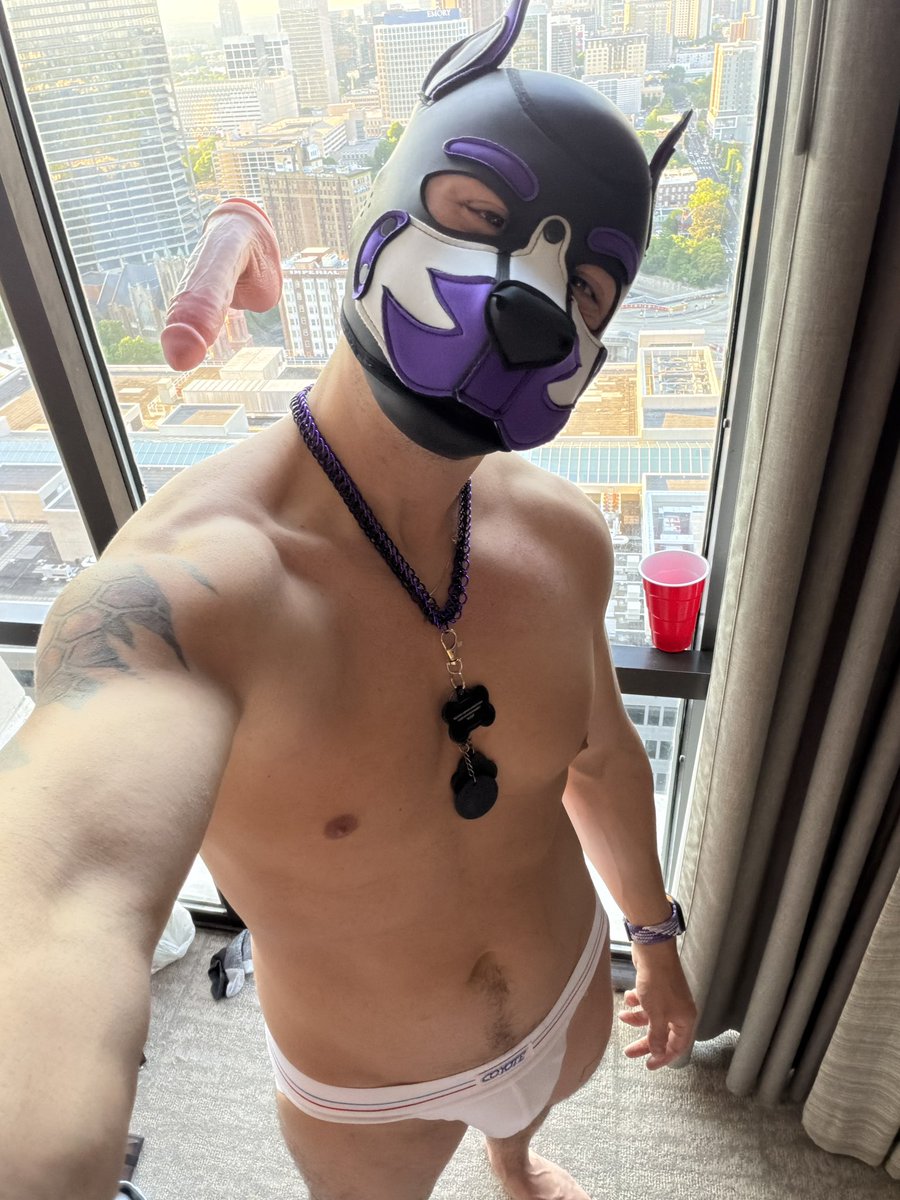 Pup Dread 👾 (Market Days&MFF) tweet media