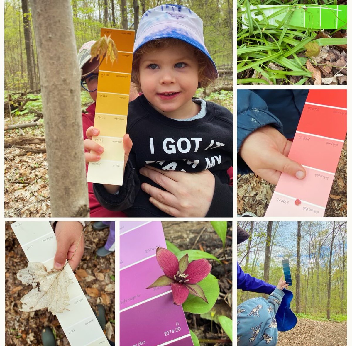 JrNaturalists's tweet photo. Happy Mini Nat Mother’s Day! Today our youngest naturalists explored the forest of the Cawthra Estate looking for wildflowers. We found unite a few, had fun matching our paint chips to different part of nature and ended with a special flower-themed Mother’s Day craft 🌹🌸💐🌺🌷 https://t.co/jLpWzdvhB7