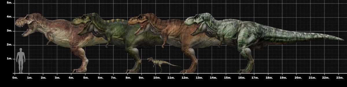 JaimenivoresD's tweet photo. Jurassic Park T.rexes size Comparison:
Adults: 4.4 (4.3) x 11.3 (11.4) meters.
Juvenile: 1.2 x 2.4 meters.
#jurassicpark #thelostworldjurassicpark #jurassicpark3 #t_rex #tyrannosaurus #sizecomparison #dinosaurs #buck #rexy #doe #bulltrex #juniortrex #sizedifference https://t.co/fMvOK9bVlA