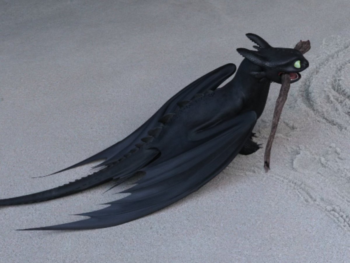 ᯓ★ DAILY TOOTHLESS 🦋 tweet media