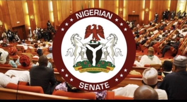 Obidient Premier👑 🦅 tweet media