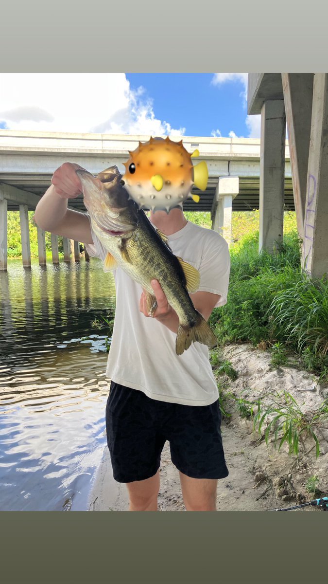 Frogbait tweet media