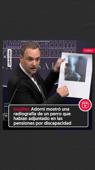 Sarkete tweet media