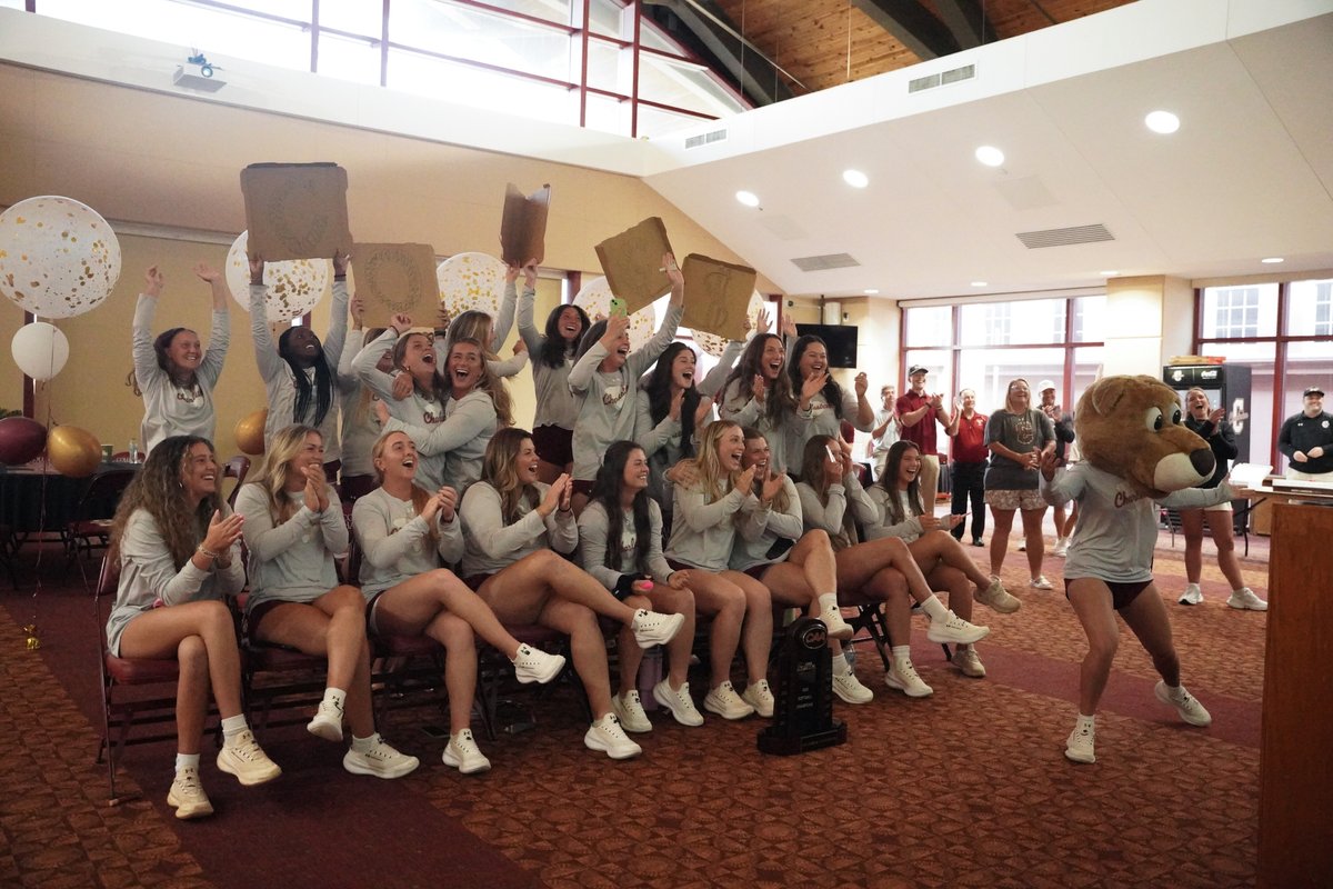 Charleston Softball tweet media