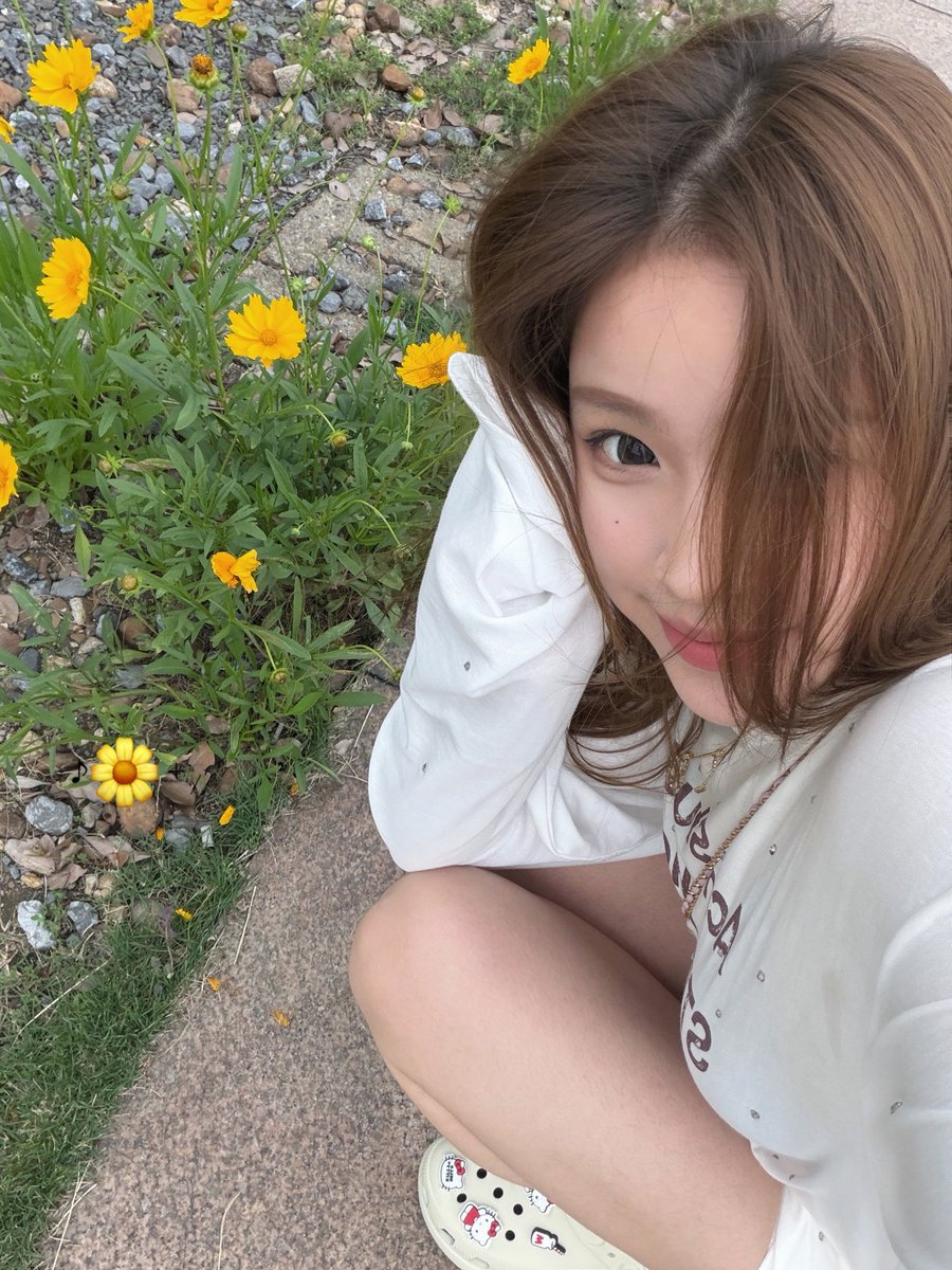新月 tweet media