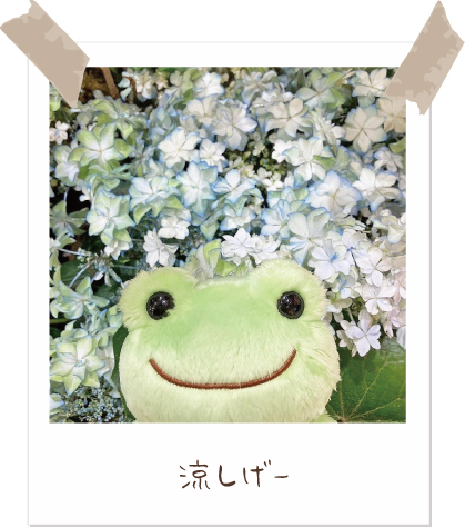 かえるのピクルス/pickles the frog (@picklesthefrog6) / Posts / X