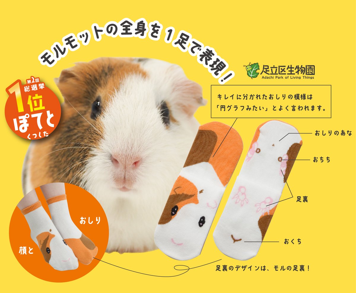 足立区生物園 tweet media