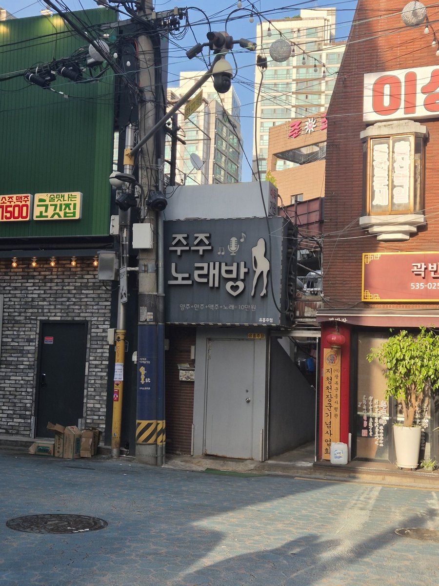 혜성(메인트 봐주세요!) tweet media