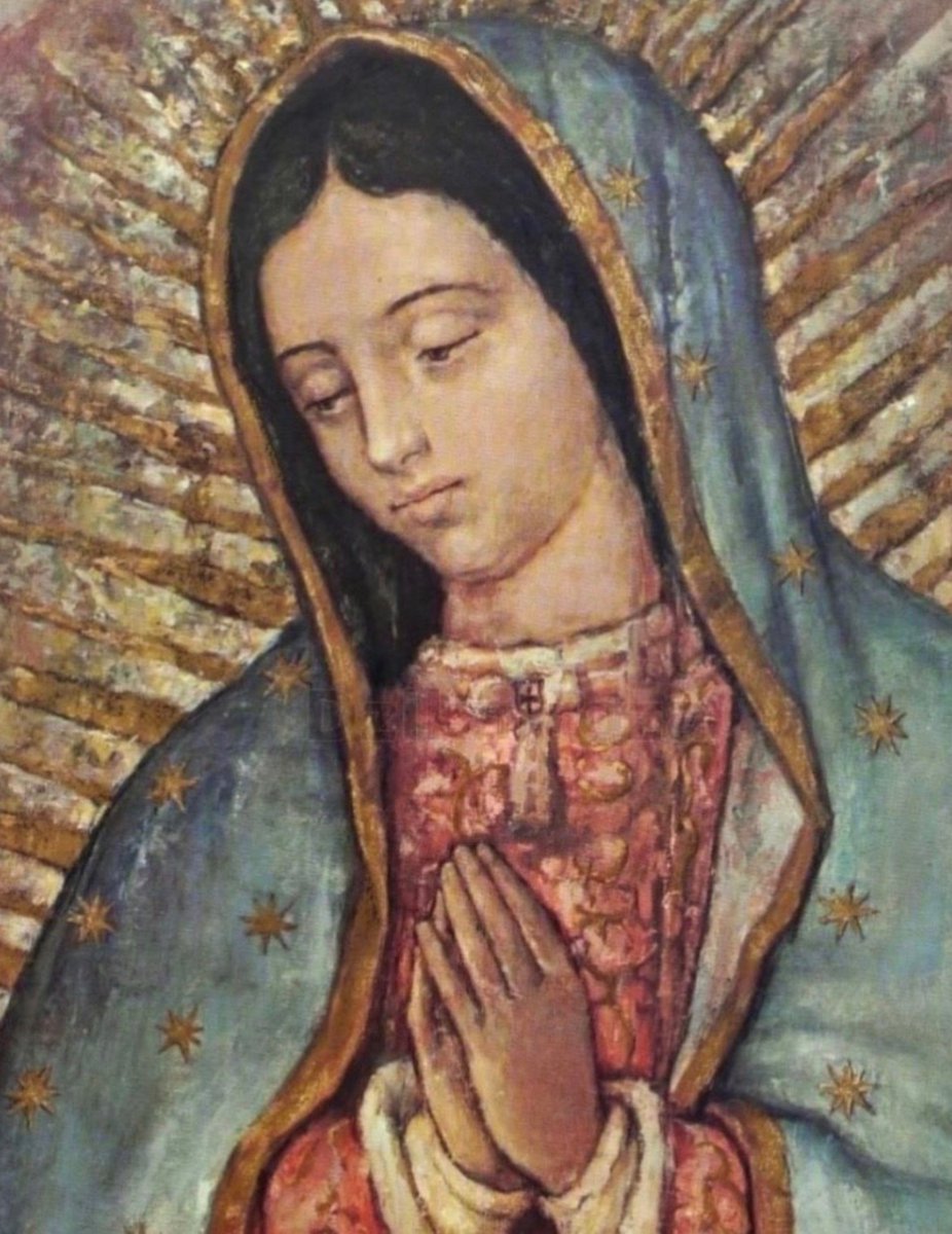 Catholic Life tweet media