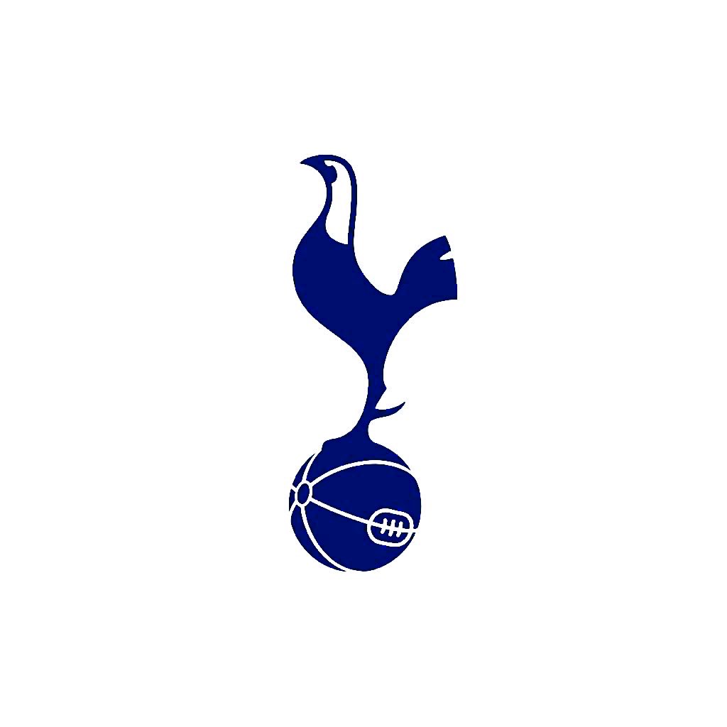 HotspurReports. tweet media