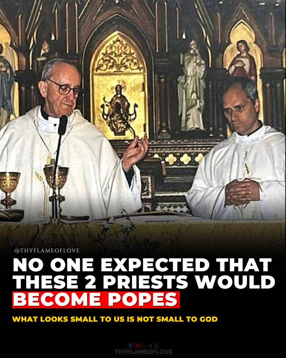 Dana Rachel 🇻🇦 tweet media