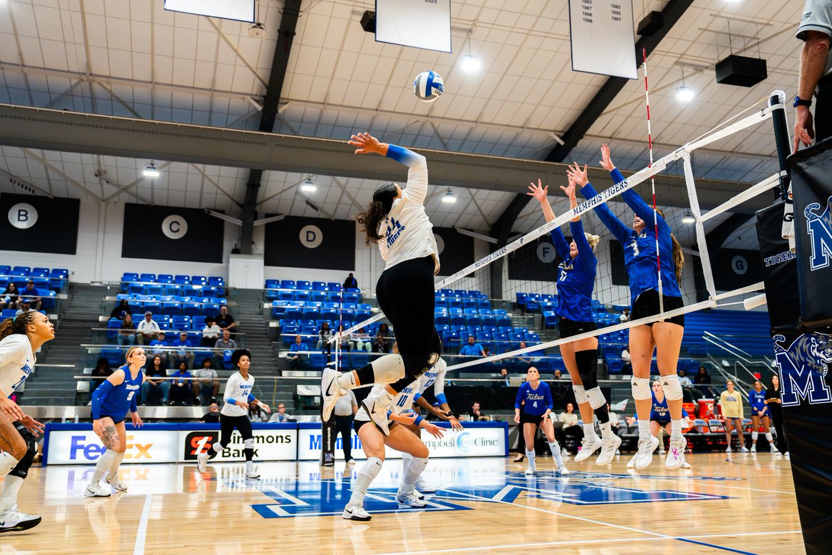 MemphisVBall's tweet photo. Wish Jasmyn Tate a Happy Birthday 💙 https://t.co/uKZaLqWg8I