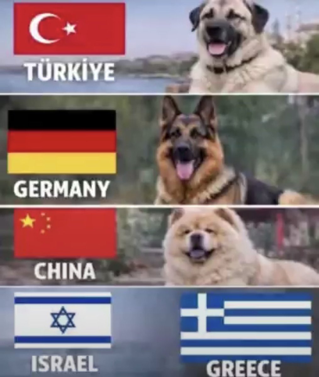 Mert Göktürk tweet media