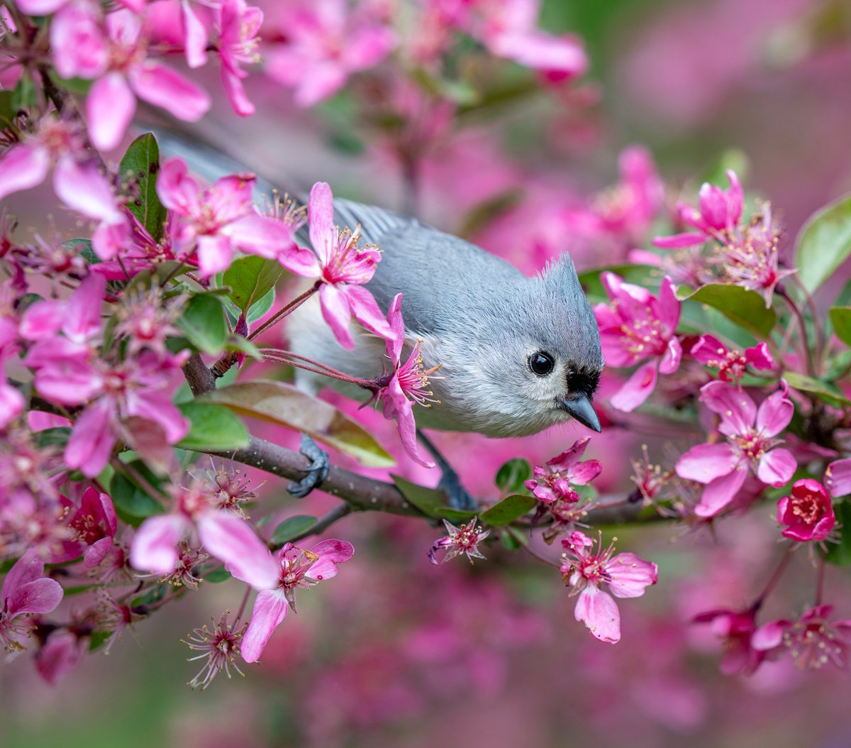 Jocelyn Anderson Photography tweet media