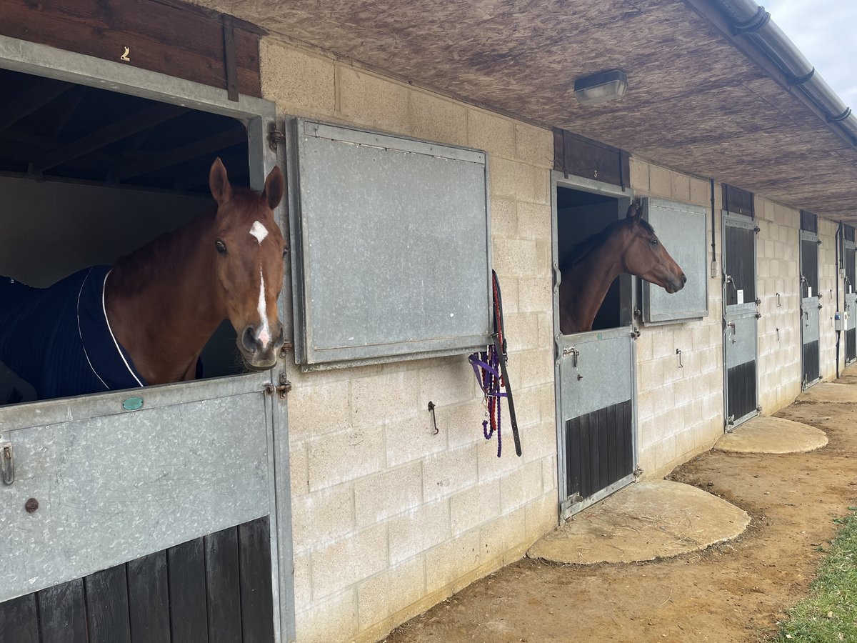 Fakenham Racecourse tweet media