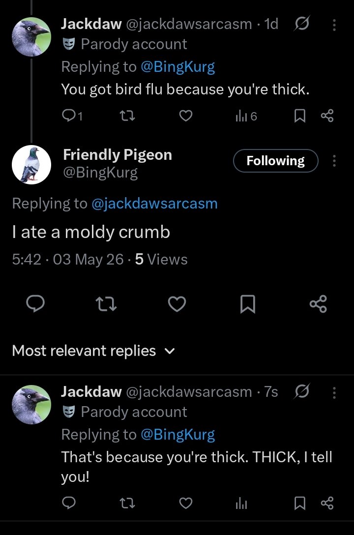 Jackdaw tweet media