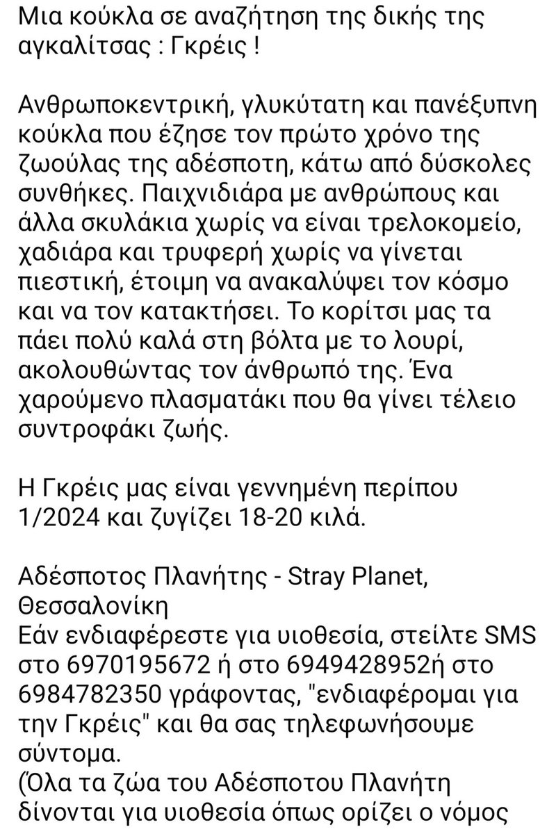 🆘️🆘️🆘️
Η πανέμορφη Γκρέις αναζητεί σπίτι 
Γεννημένη 1/2024,18-20 κιλά,παιχνιδιαρα,χαδιάρα,τρυφερή
Ενα χαρούμενο πλασματακι που θα γίνει ο τέλειος σύντροφος ζωής 
Θα δοθεί με ολα τα νόμιμα 
Για παραπάνω πληροφορίες επικοινωνία με το τηλ 
Rt 🙏 🙏 🙏