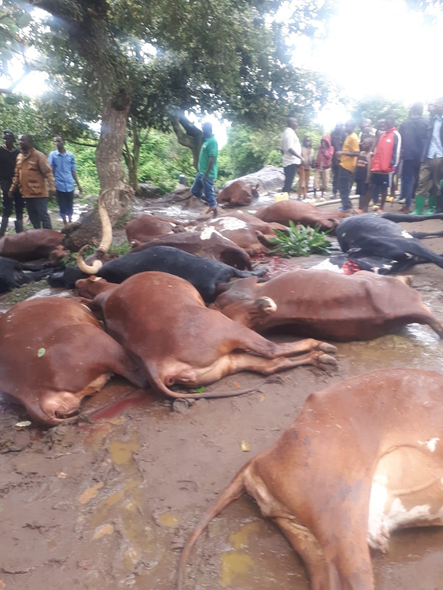 Prudence KWIZERA tweet media