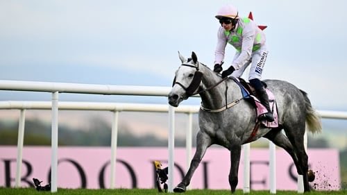 EquineMediRec's tweet image. Congratulations to Equine MediRecord customer Willie Mullins, jockey Paul Townend and the entire Closutton team on an outstanding victory in the Punchestown Champion Hurdle (Grade 1) with their incredible horse Lossiemouth 🐎🏆

#Punchestown #HorseRacing #Ireland