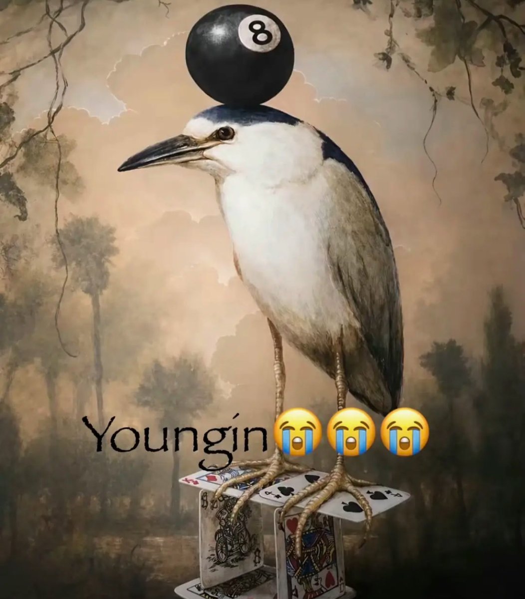 idk tweet media