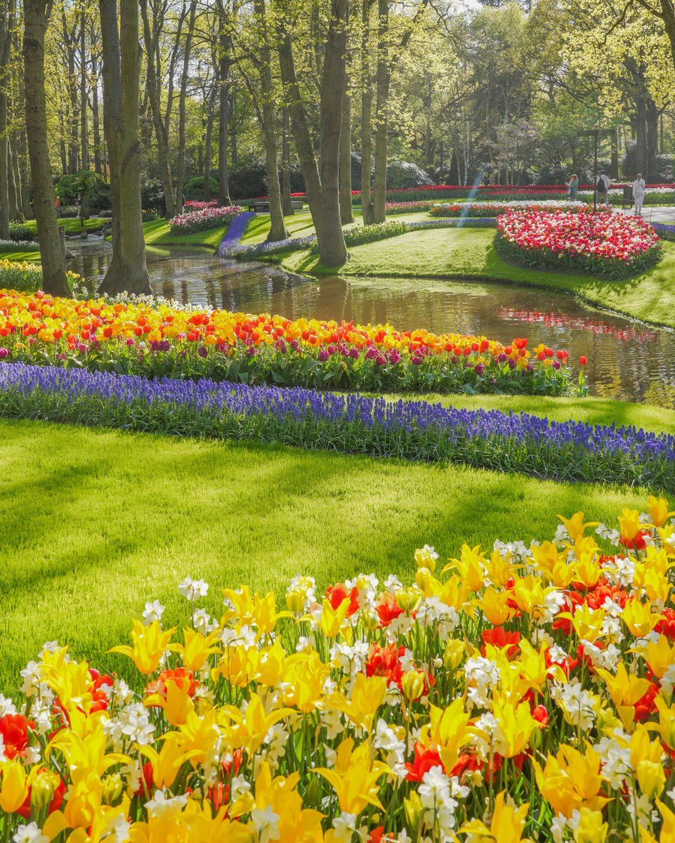 Hollanda, Keukenhof çiçek bahçesine gitmeliyiz.