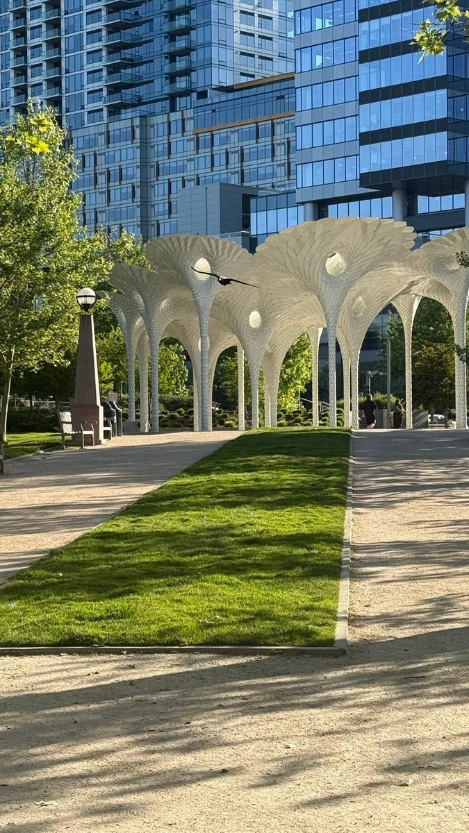 DianeDesignaAI's tweet image. Happy Sunday! beautiful but busy day- working on the #contest campaign with ⁦⁦@daymondjohn⁩ a PR for our #meta advocacy trip and our #coffee campaign #DesignaAI