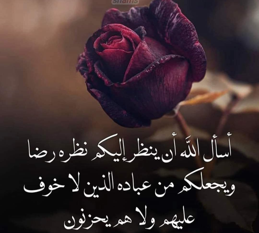 ابوسامي عبده صالح tweet media