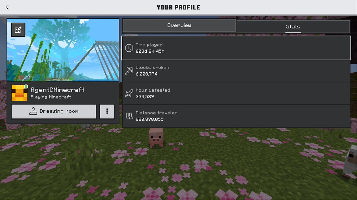 Agentc805's tweet photo. I just broke 603 days which adds up to 14480 hours played in minecraft! 😆😬😱 https://t.co/rT7ewzg89K