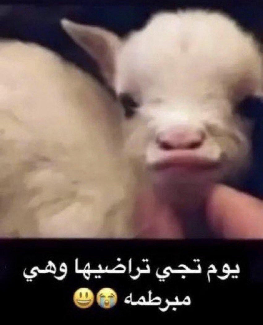 عبدالله العصيمي | OSM tweet media