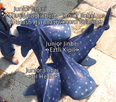 hexatism tweet media