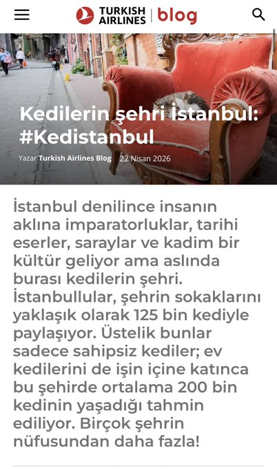Zeki Bahçe tweet media