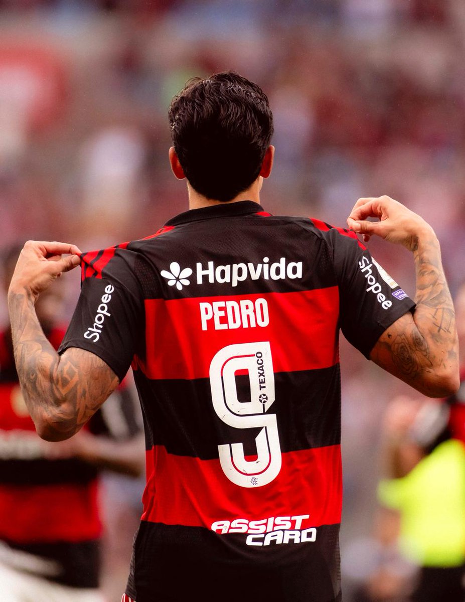Venê Casagrande tweet media
