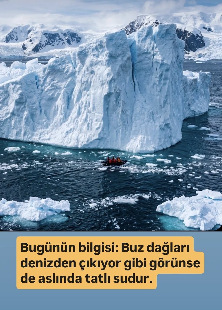 sariokul tweet media