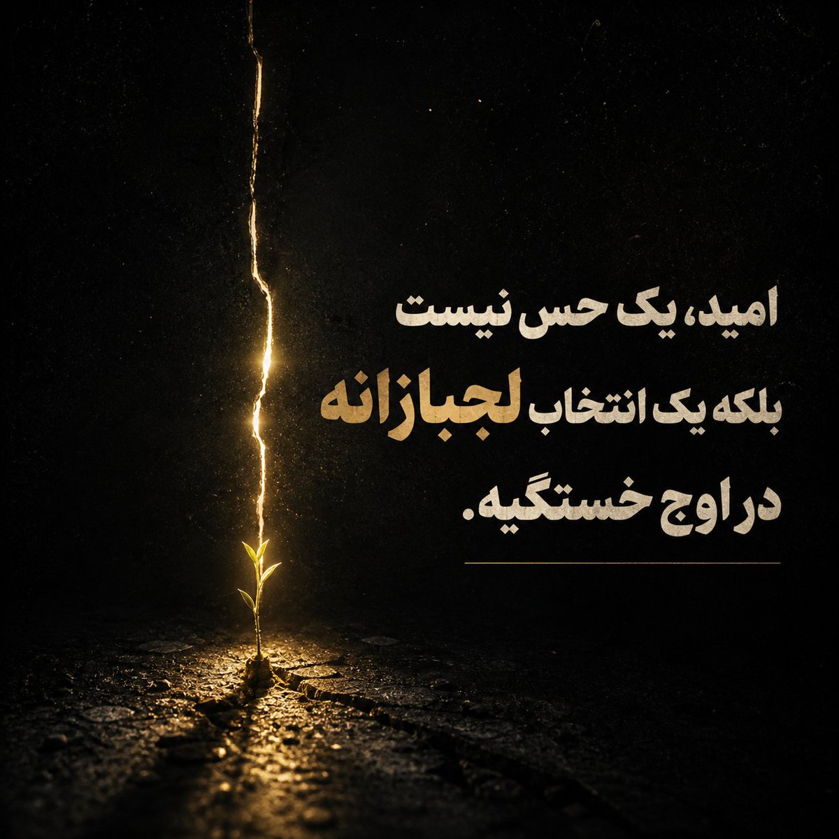 Dr. Mehrdad Ashabi tweet media