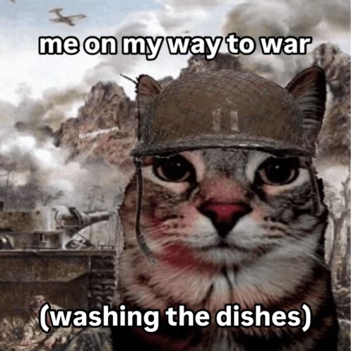 Punch Cat tweet media