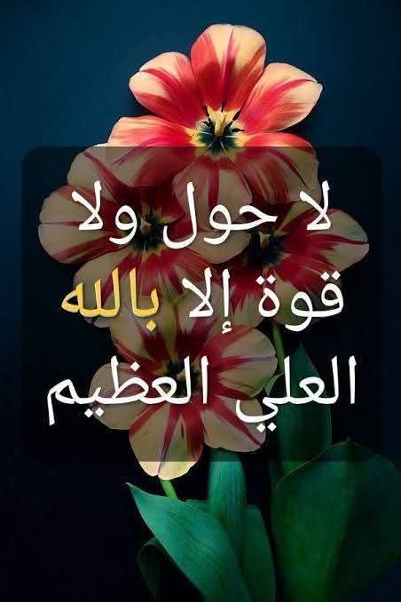 محمد محمد tweet media