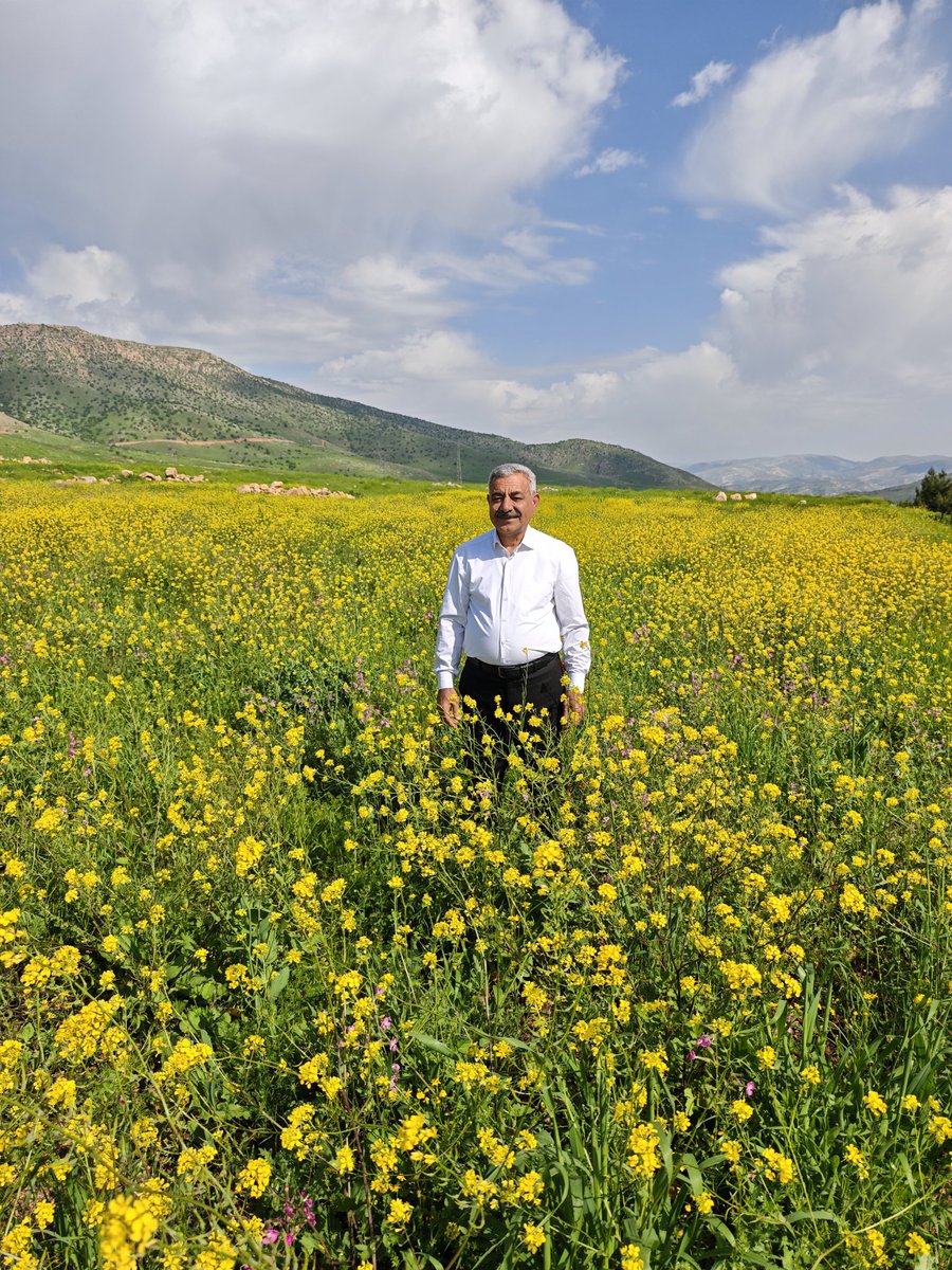 Davut ŞAHİN tweet media
