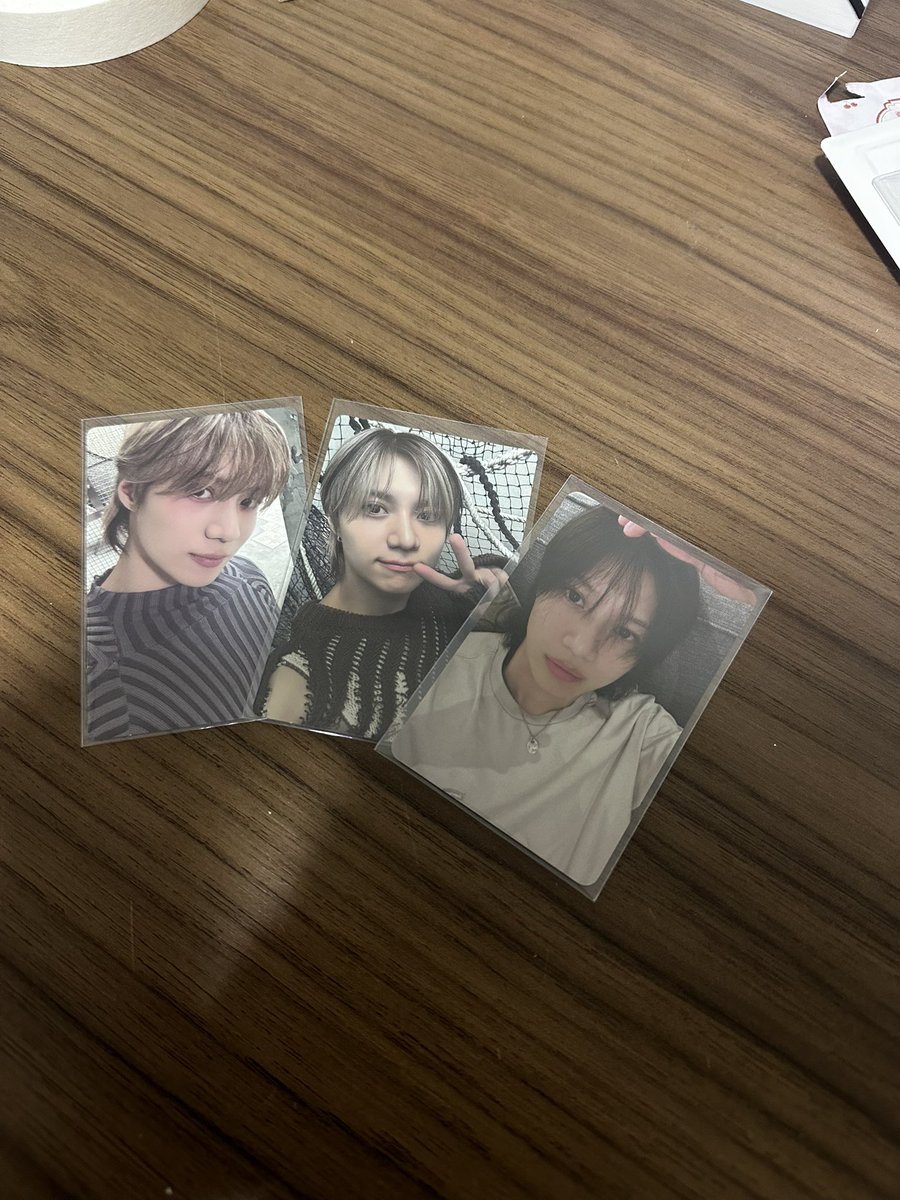 Meus bebês novos