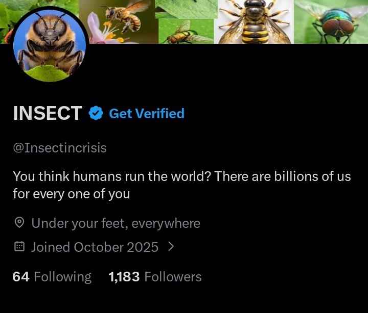 crokroach tweet media
