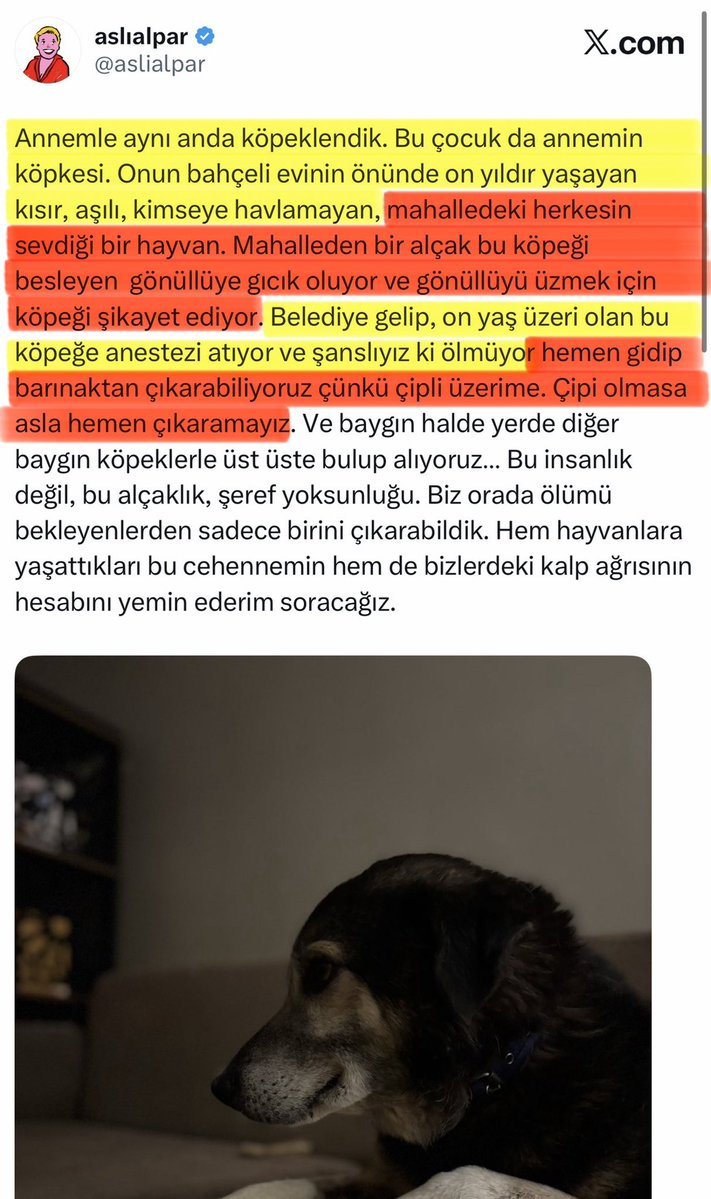 Devrim KOÇAK tweet media