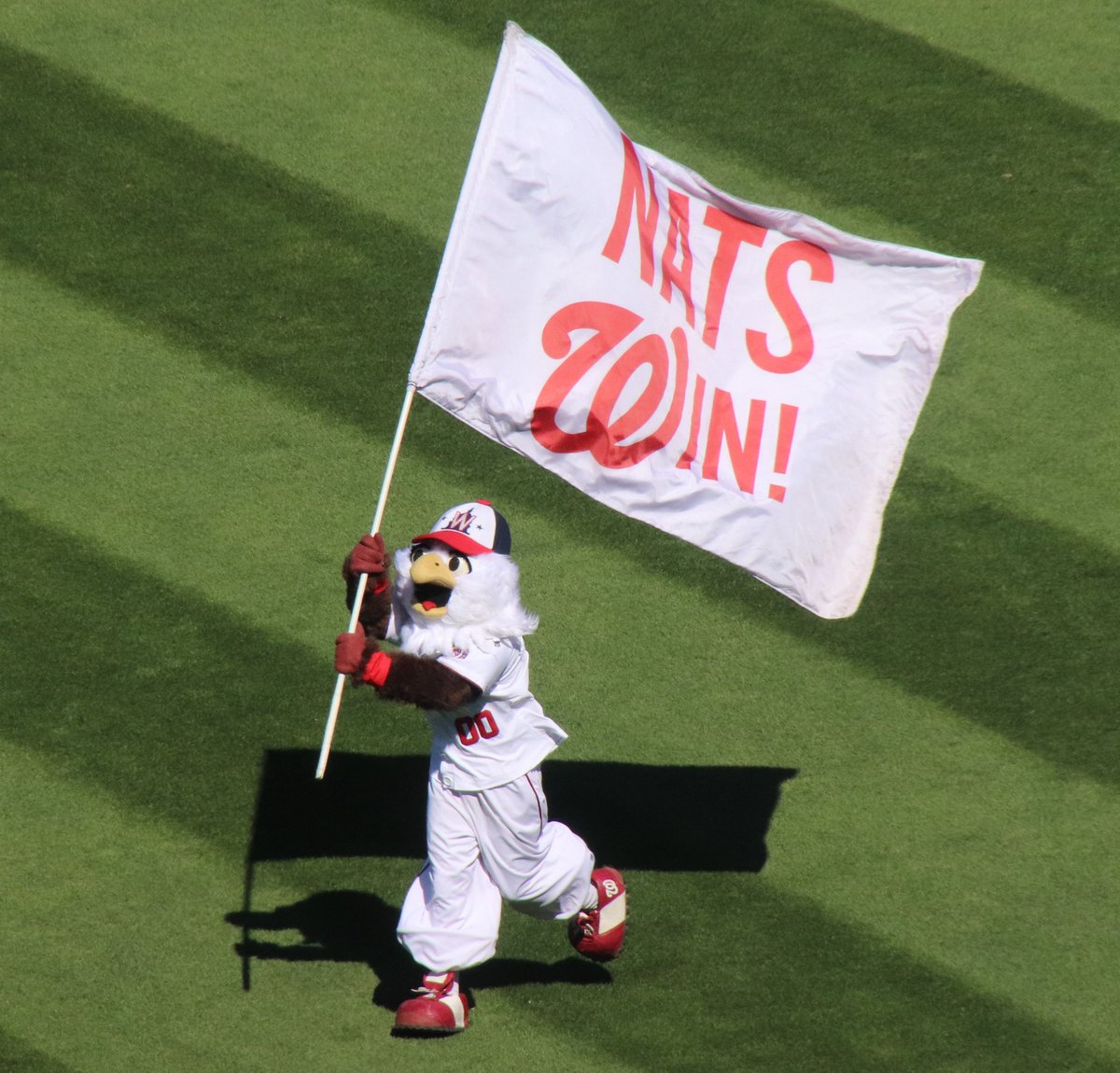 Talk Nats tweet media