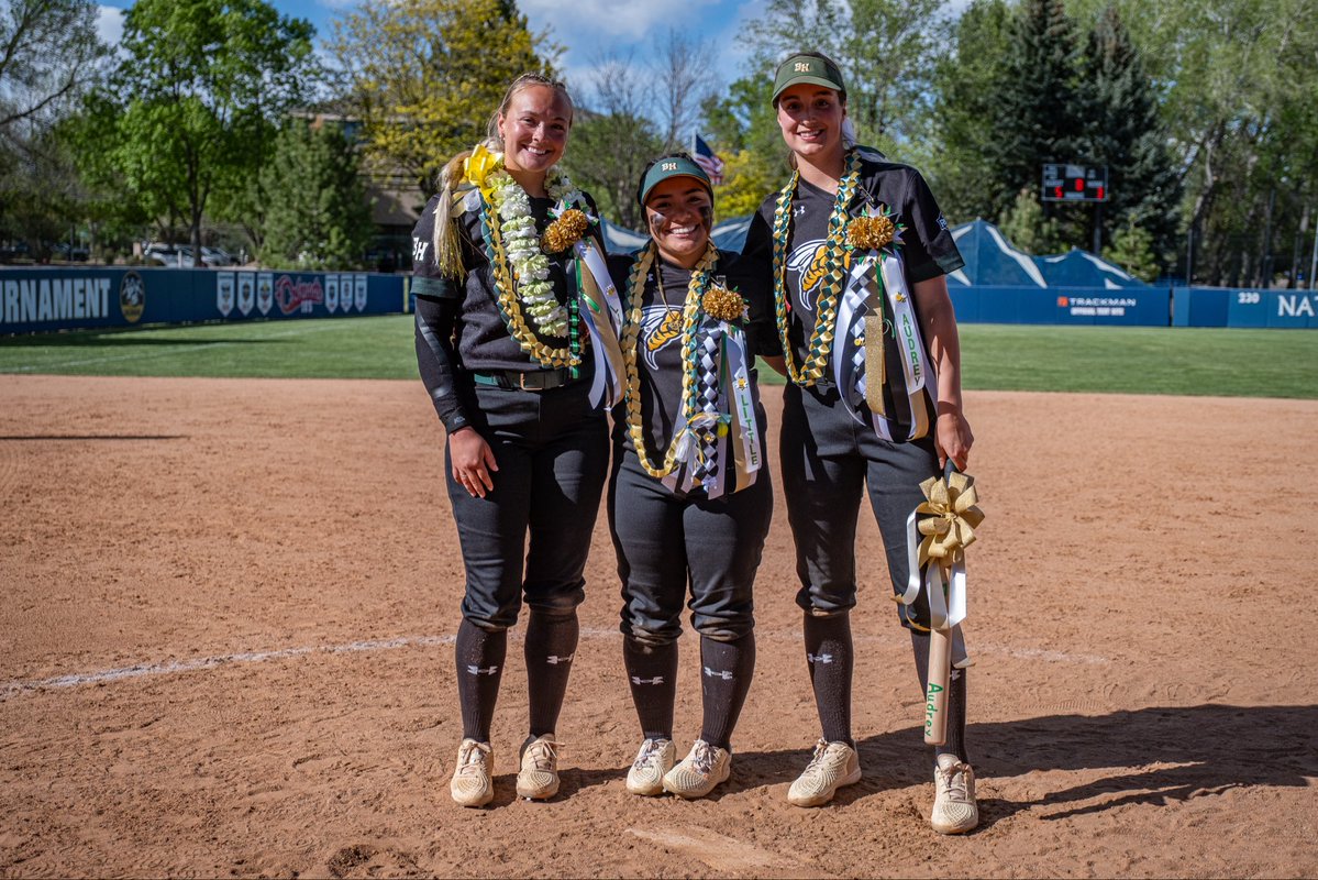 Black Hills State Softball tweet media